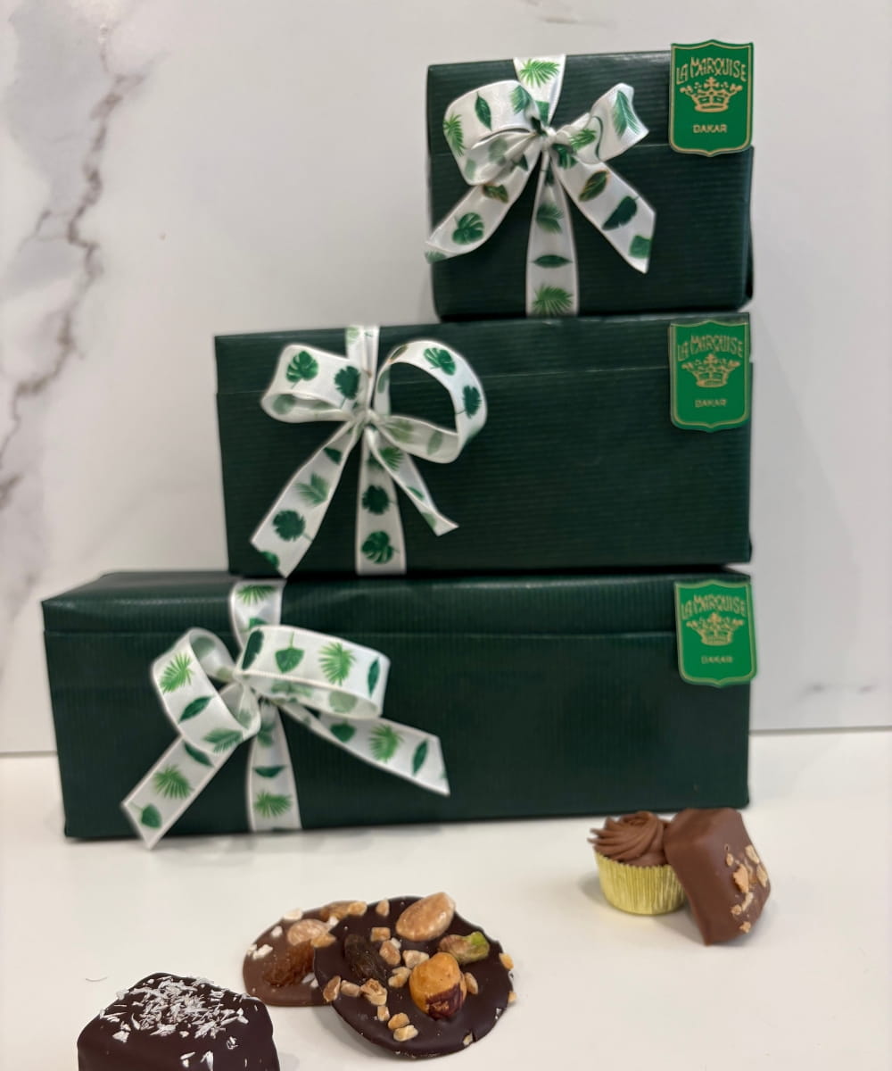 Le Ballotin de Chocolats & Pralinés – 500 g